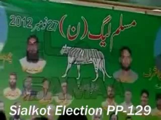 Militant wing of PML-N (By-election in different constituencies of Punjab )