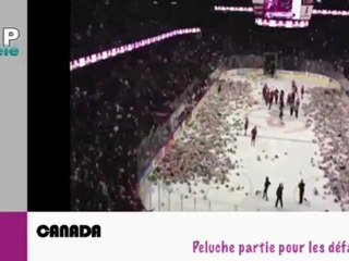 Zapping du net du 5 décembre 2012