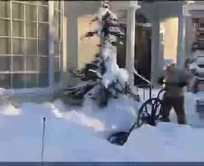 Snow Wolf Snow Shovel