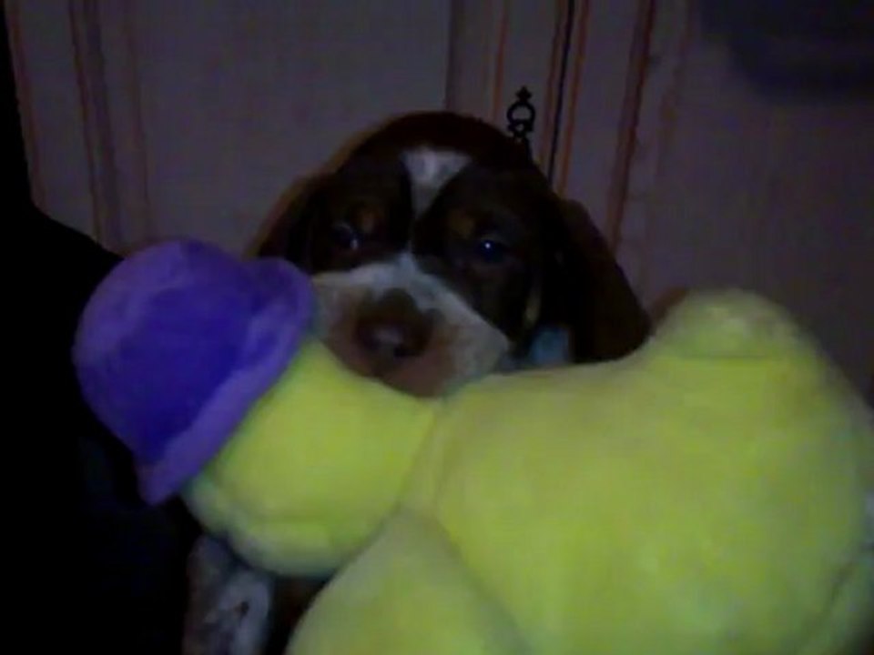 des betes charles édouard des betes ! mdrrrr