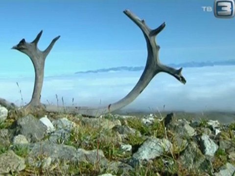 Неразгаданный мир. 11 Как выжить на древней Аляске