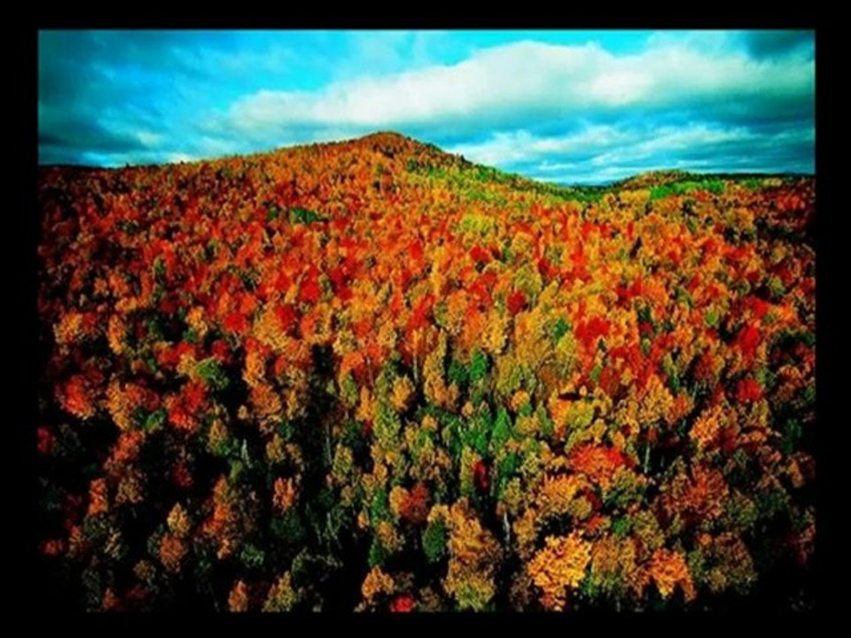 Ce trebuie sa faci daca nu poti vedea site-ul www.policam.ro