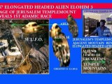 ISRAELS ELONGATED HEADED AFRICAN ALIEN YESHUA RETURNS TO TEMPLE MOUNT IN CUBE OF NEW JERUSALEM