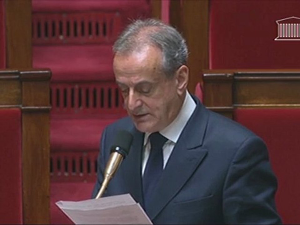 Questions orales sans débat - Assemblée Nationale  sur l'avenir de l'EPADESA