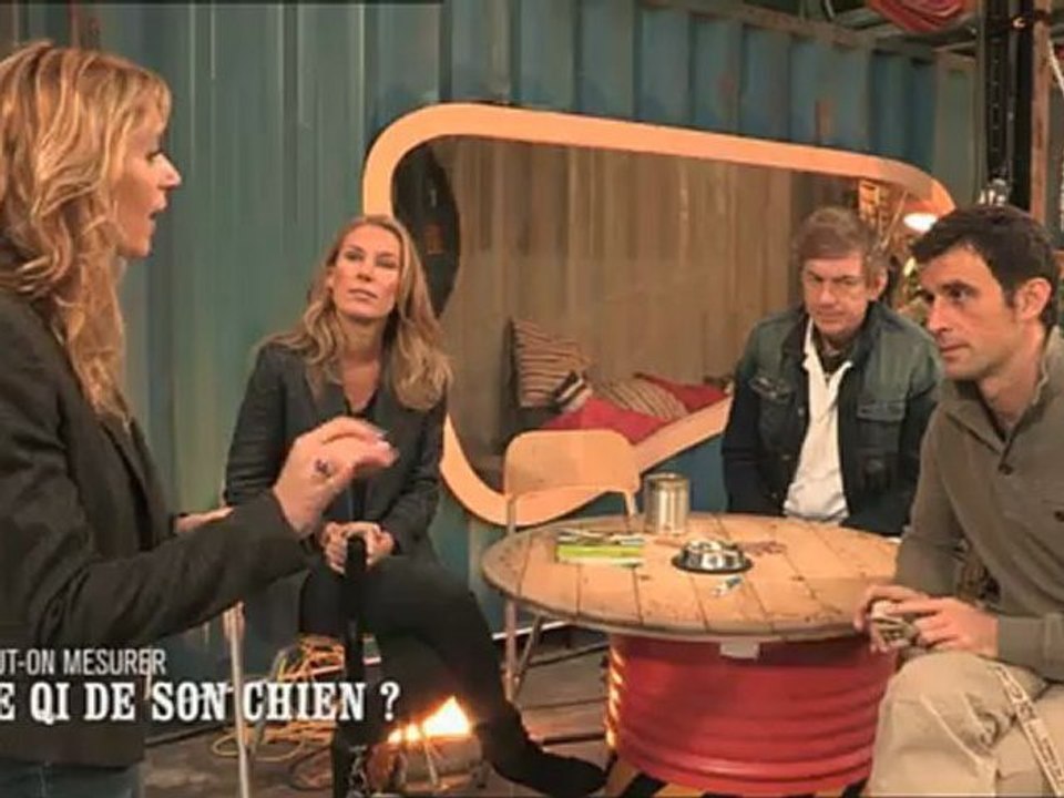 Calcule le QI de ton chien et défie tes amis