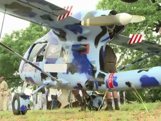 Rinocerontes bajo amenaza