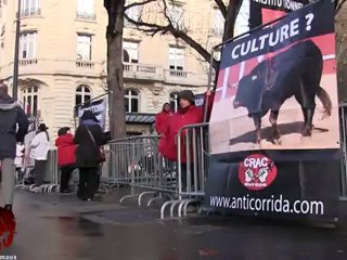Rassemblement citoyen anti corrida devant l'assemblée nationale