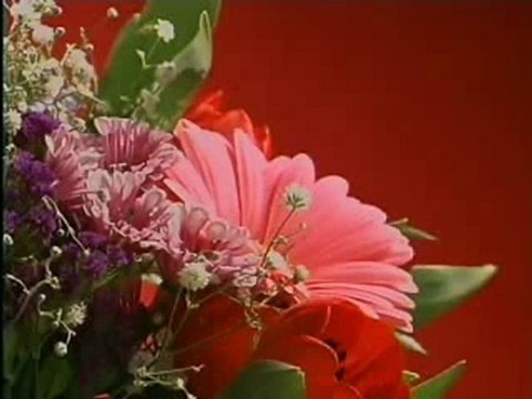 Best Camera DSLR for Beginners | Best Cameras for Photography