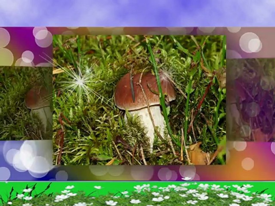 Мария Пахоменко. Будет завтра лучше,чем вчера