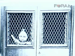 Human Trafficking in 19th Century California