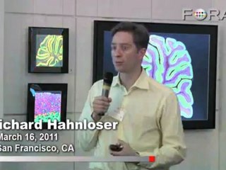 Mapping a Bird's Brain Would Take Many Google Earths