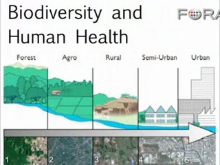 Genetic Tools Will Save Us from the Next Killer Epidemic