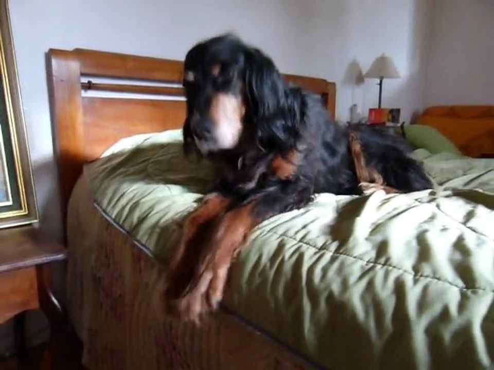 Réveil difficile après une bonne sieste :