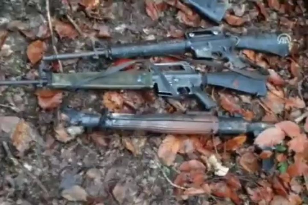 Amanos Dağları'nda terör operasyonu