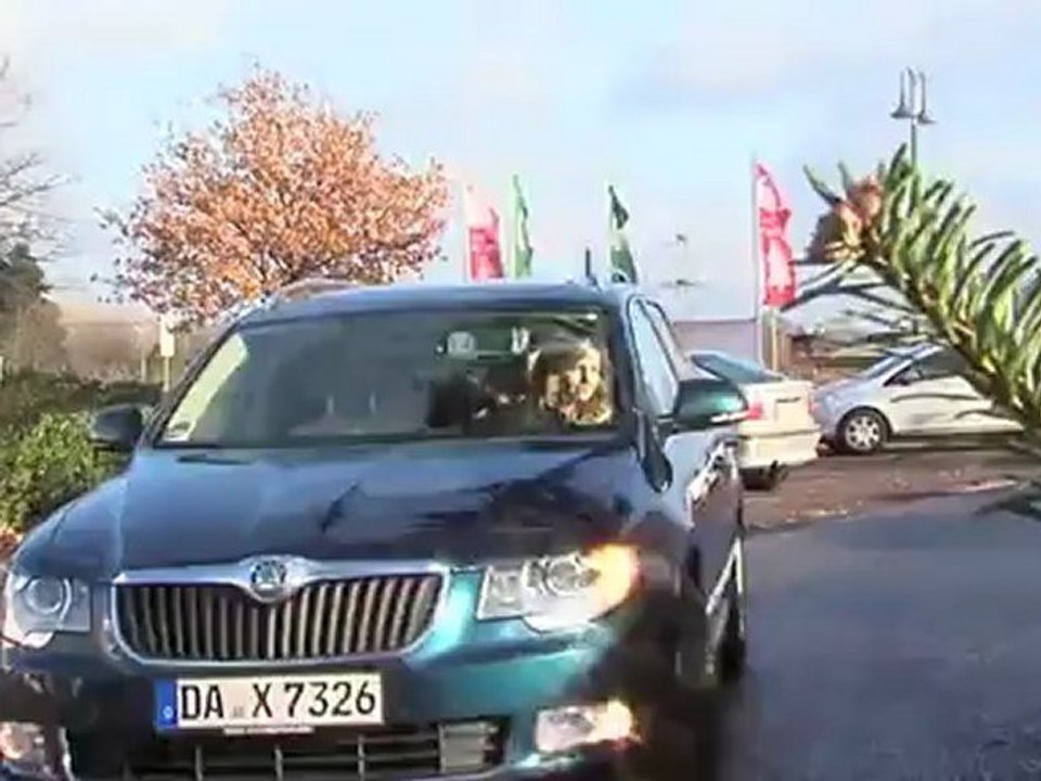 Alle Jahre wieder der Christbaum Transport