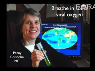 Carl Zimmer: Viruses Are Planetary Forces