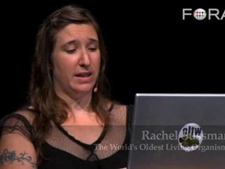 The Oldest Living Organism? 500,000-Year-Old Bacteria