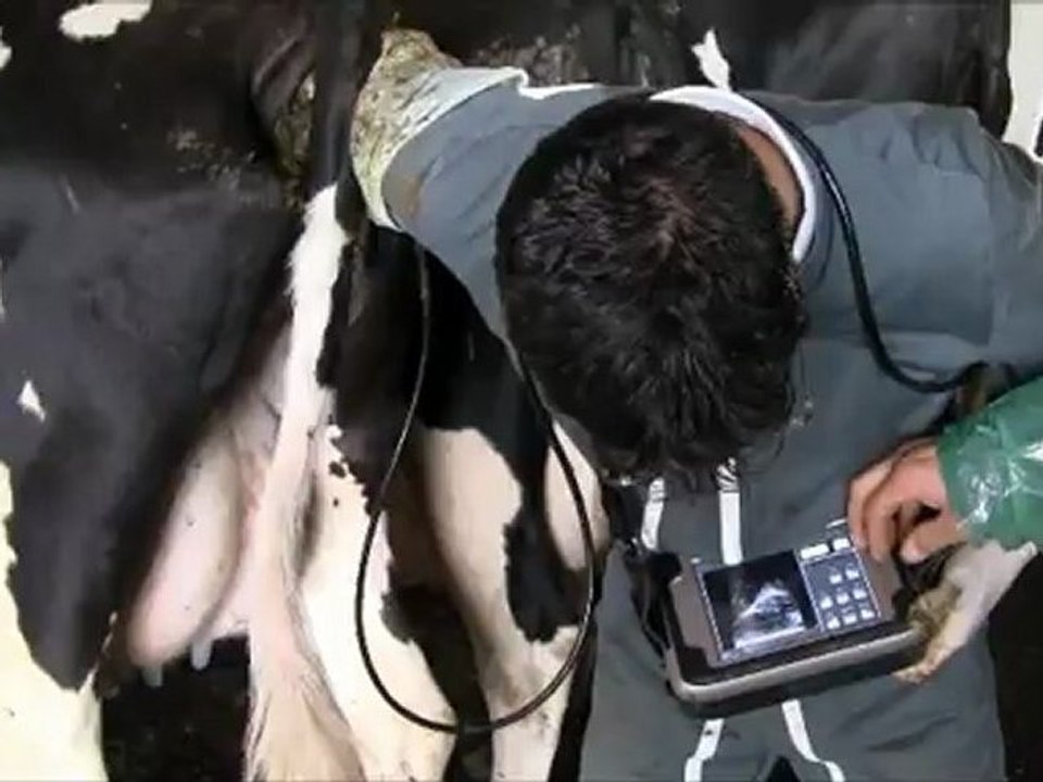 TOUCH GENERATION  IMAGO: Excellence at your fingertips