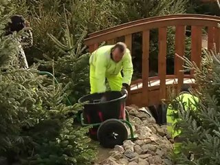 Port-Barcarès : rendez-vous le 8 décembre 2012 ...