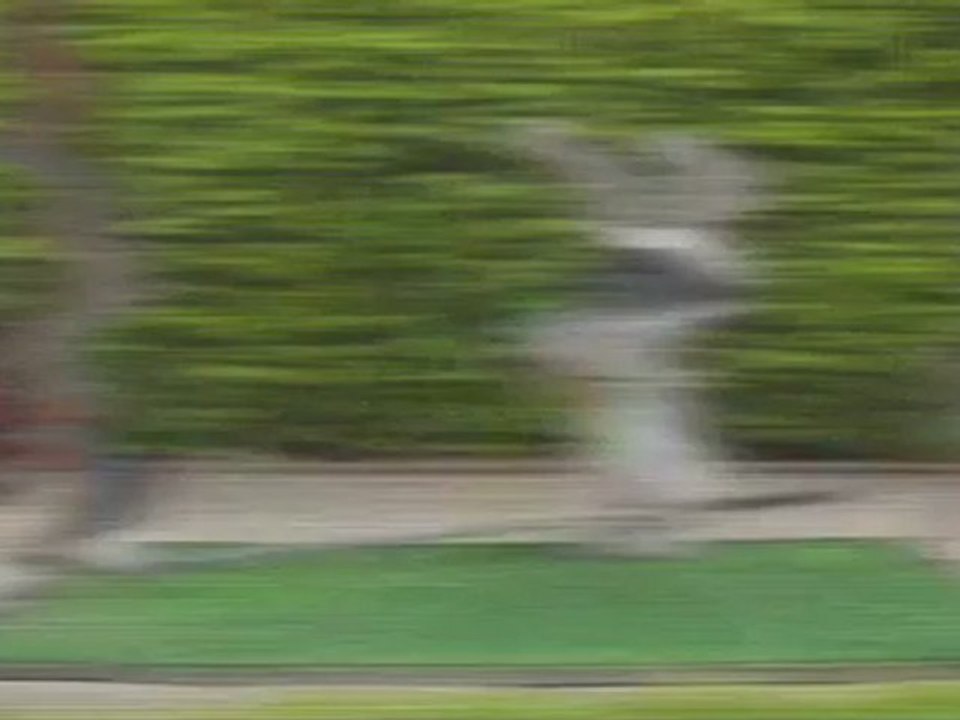 Les Lapins Crétins Land - Bande-annonce #6 - Teaser