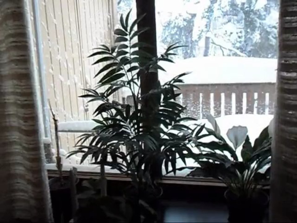 Film på snövädret  5 Dec - 12.  Med musik.