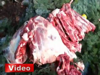 Amanoslar'da PKK'ya büyük darbe!