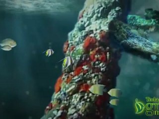 Idle Iron: Can This Oil Rig Be Recycled?