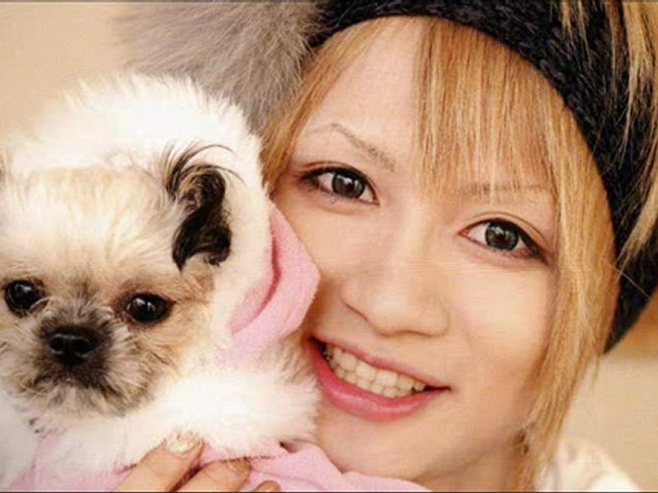 AN CAFE - PIPOPAPO TELEPATHY (Cover)