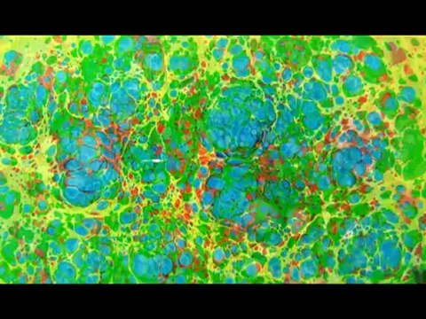 Поздравление