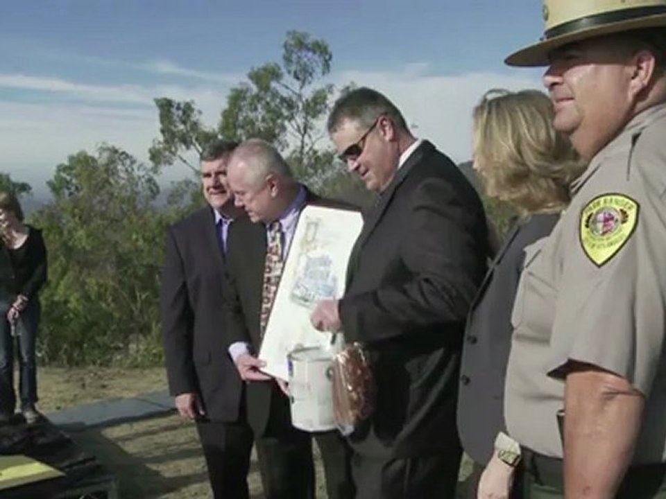 Hollywood - frisch gestrichen