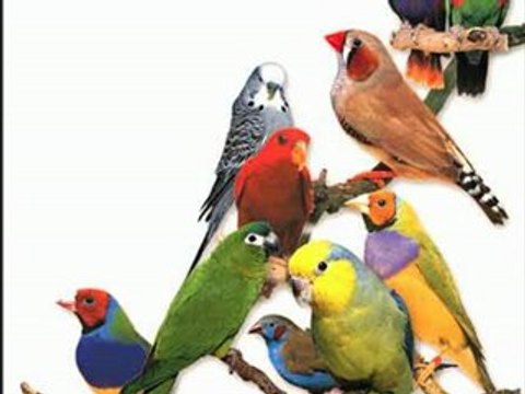 *\*/*\*/* 509 84 61*\*/*\*/*Zeytinburnu,Çırpıcı,Veliefendi,M