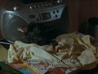 Little bird - Extrait VOST - Bande-annonce