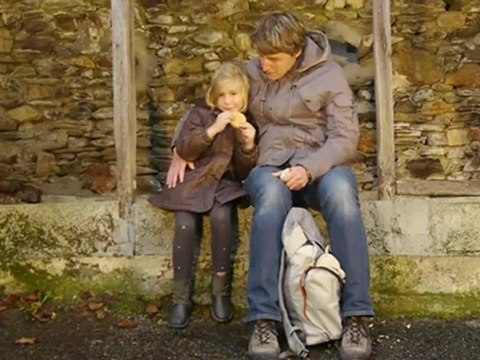 animal instinct (The Cranberries) cover