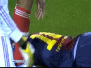 La rata "lesionada" x AzT