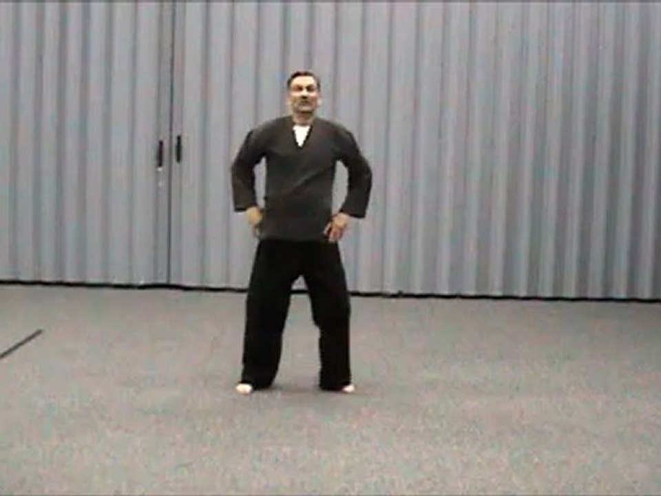 Seikoshta Saykoshta kata with Larry Love