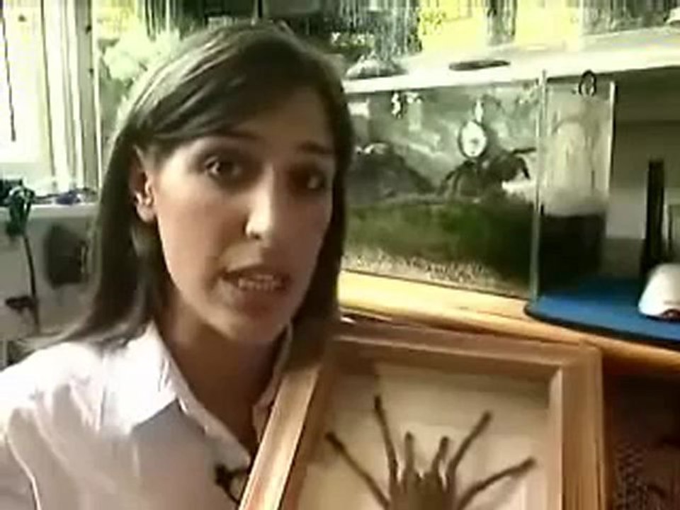 Animals 77