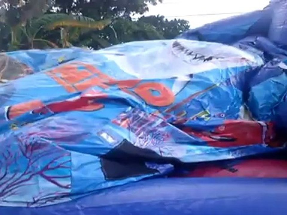 Party Rental - Combo Nemo 5 in 1