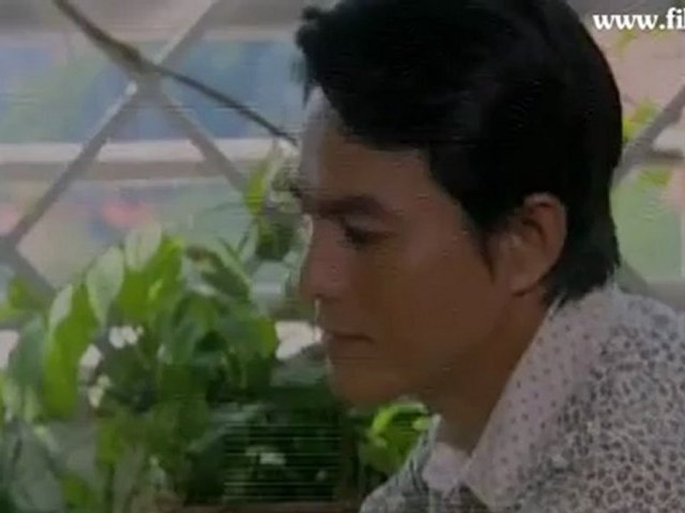 Lanmoitrongmua-OL-36E.02