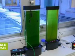 นักท่องเที่ยว 45 ประเทศเที่ยวปักกิ่ง 3 วันโดยไม่ต้องทำวีซ่า