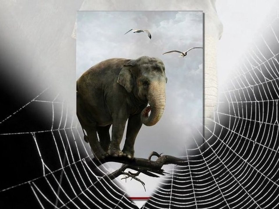 Un elefant se legana (cantece copiii)