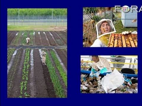 Growing Moss: Using Prisons to Promote Environmentalism