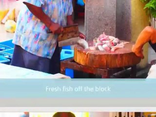 The Letters Of Gratitude and Publish Me Instantly Creators Journey Continues...