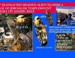 ELONGATED HEADED ALIEN YESHUA FACE & U.F.O.4 DISCOVERY UPON JERUSALEM'S TEMPLEMOUNT
