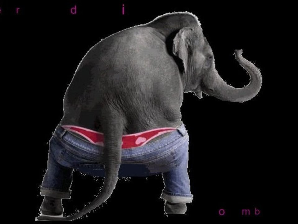 Suita etno (colaj cantece copiii)