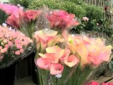 Blomsterforretning Sandnes Blomsterdekor Kvadrat AS