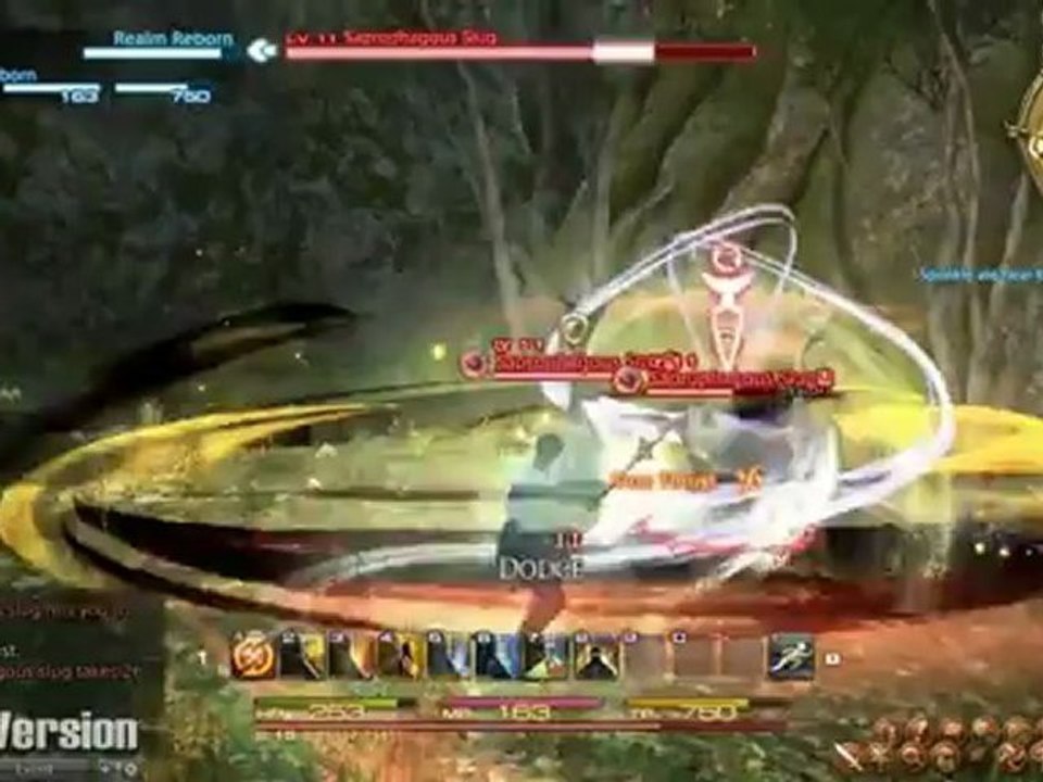 Final Fantasy XIV : A Realm Reborn (PS3) - Quests & Combat Footage