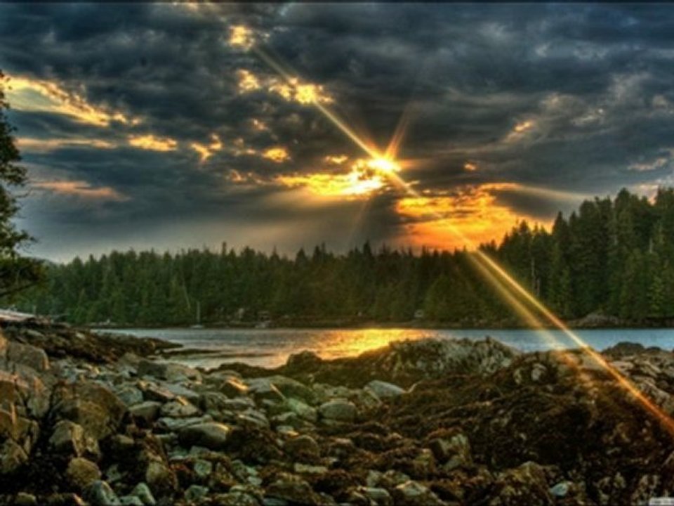Audiomachine: Reunion