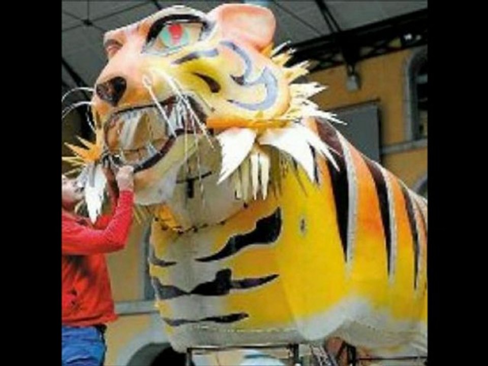 FÊTE DES LUMIERES 2012