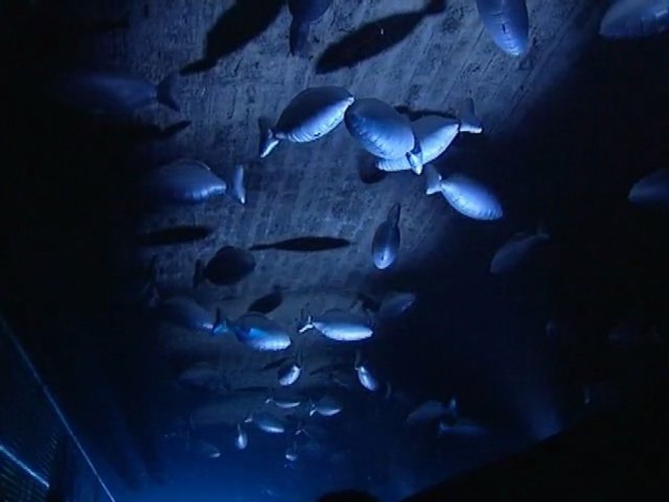 06 IMMERSION ABYSSALE Voûtes de Perrache - Trophée des Lumières France 3 2012