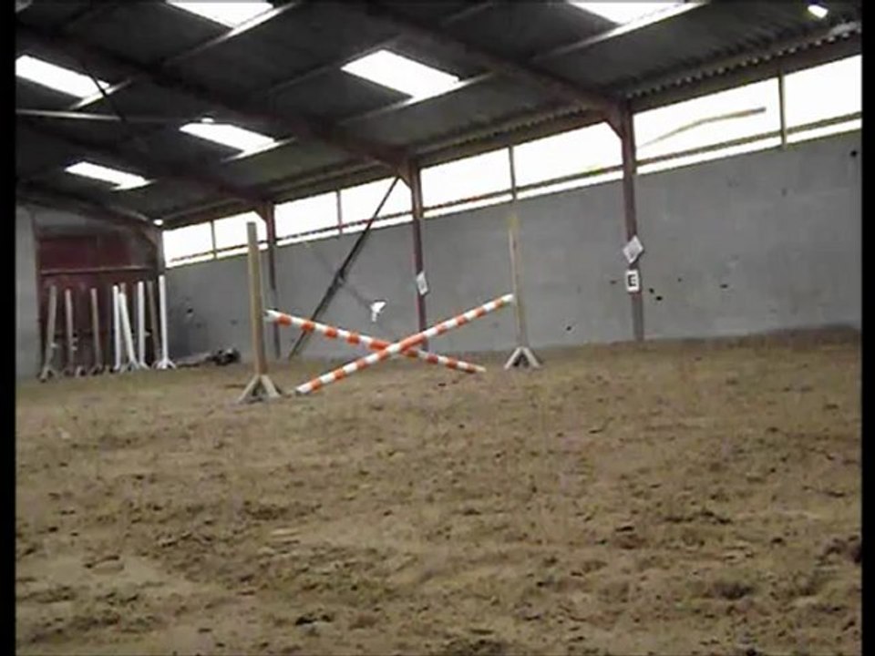 saut
